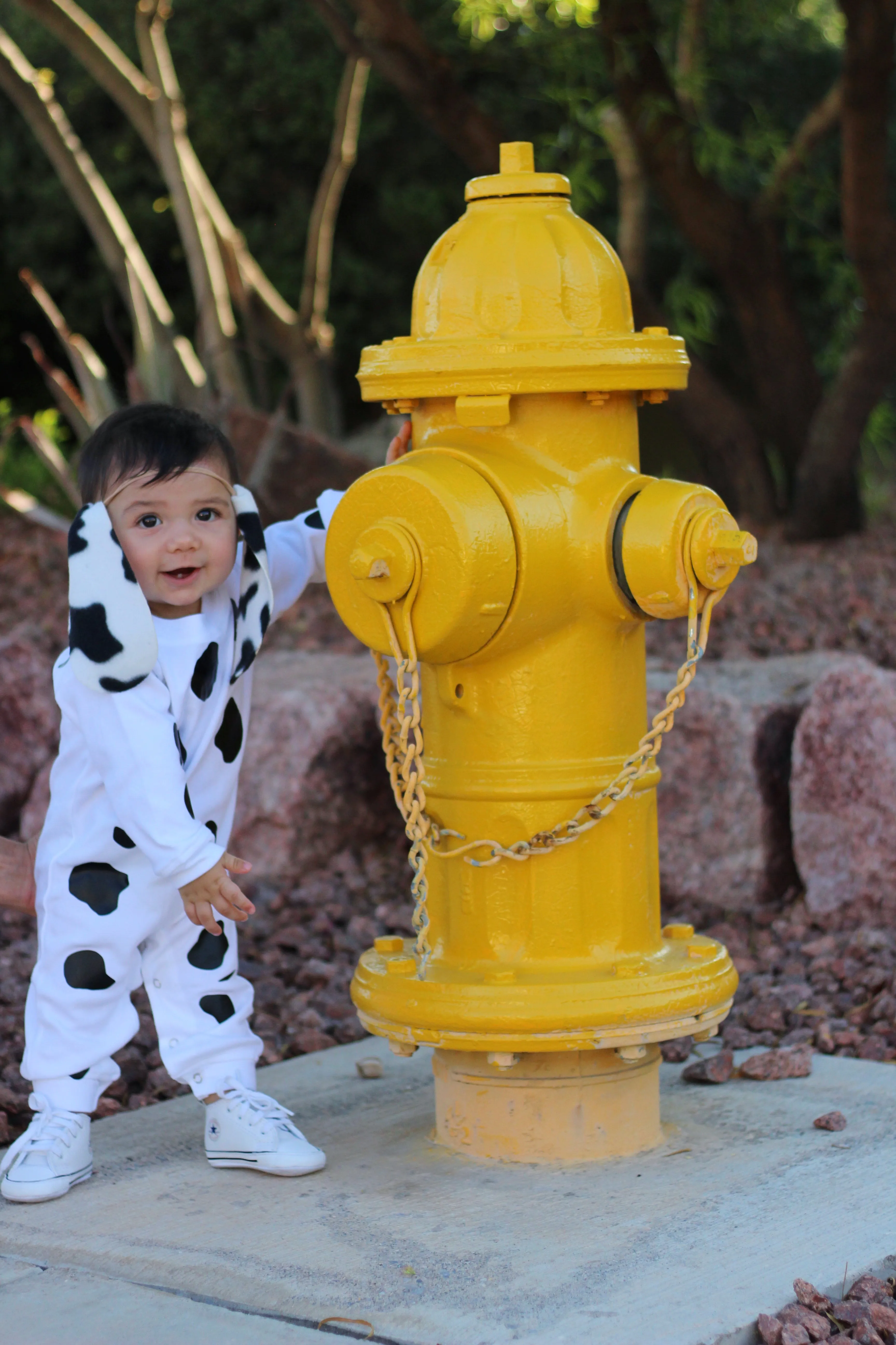 Baby Dalmatian Costume