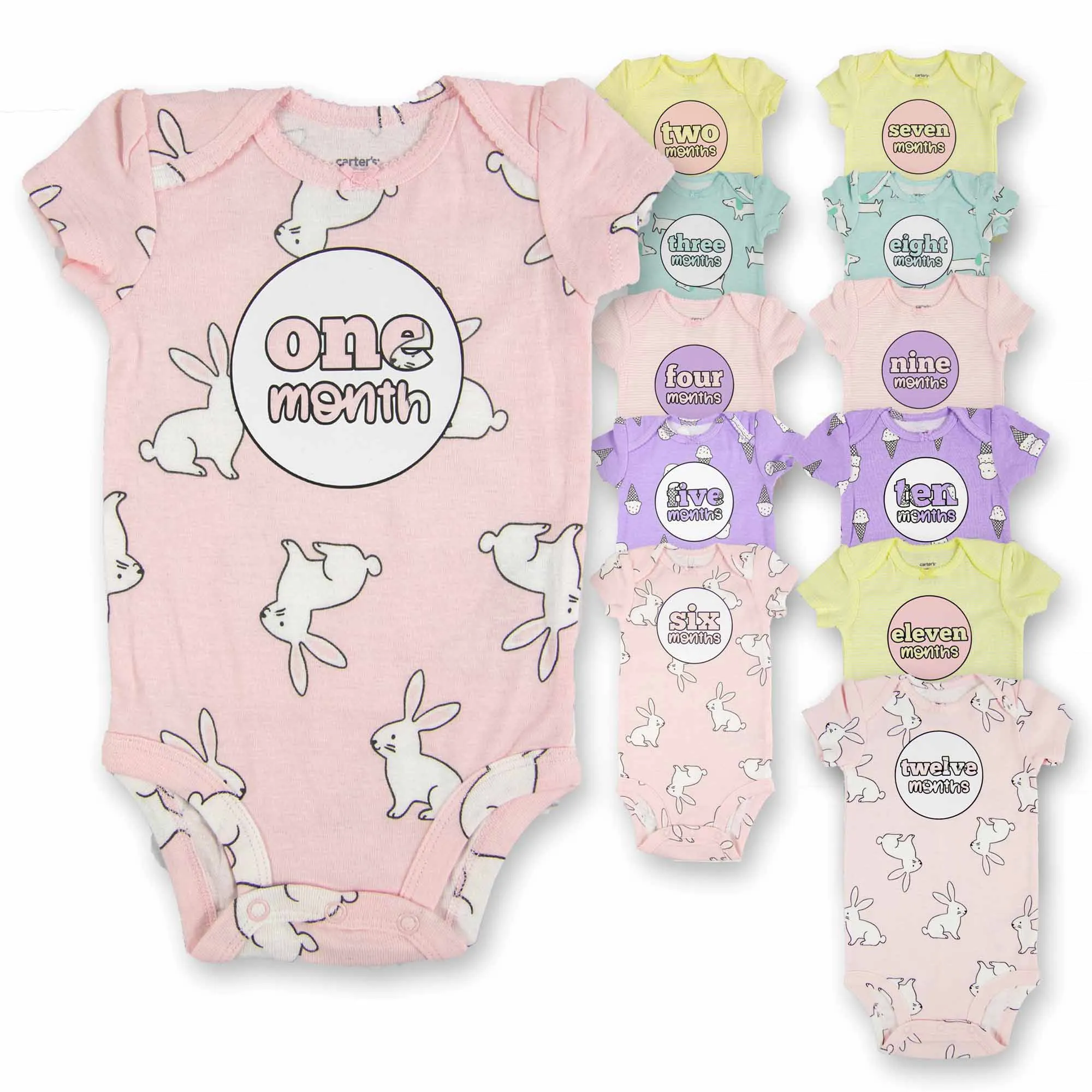 Baby Girl Monthly Photo Bodysuit Set – Bunnies, Dogs & Ice Cream