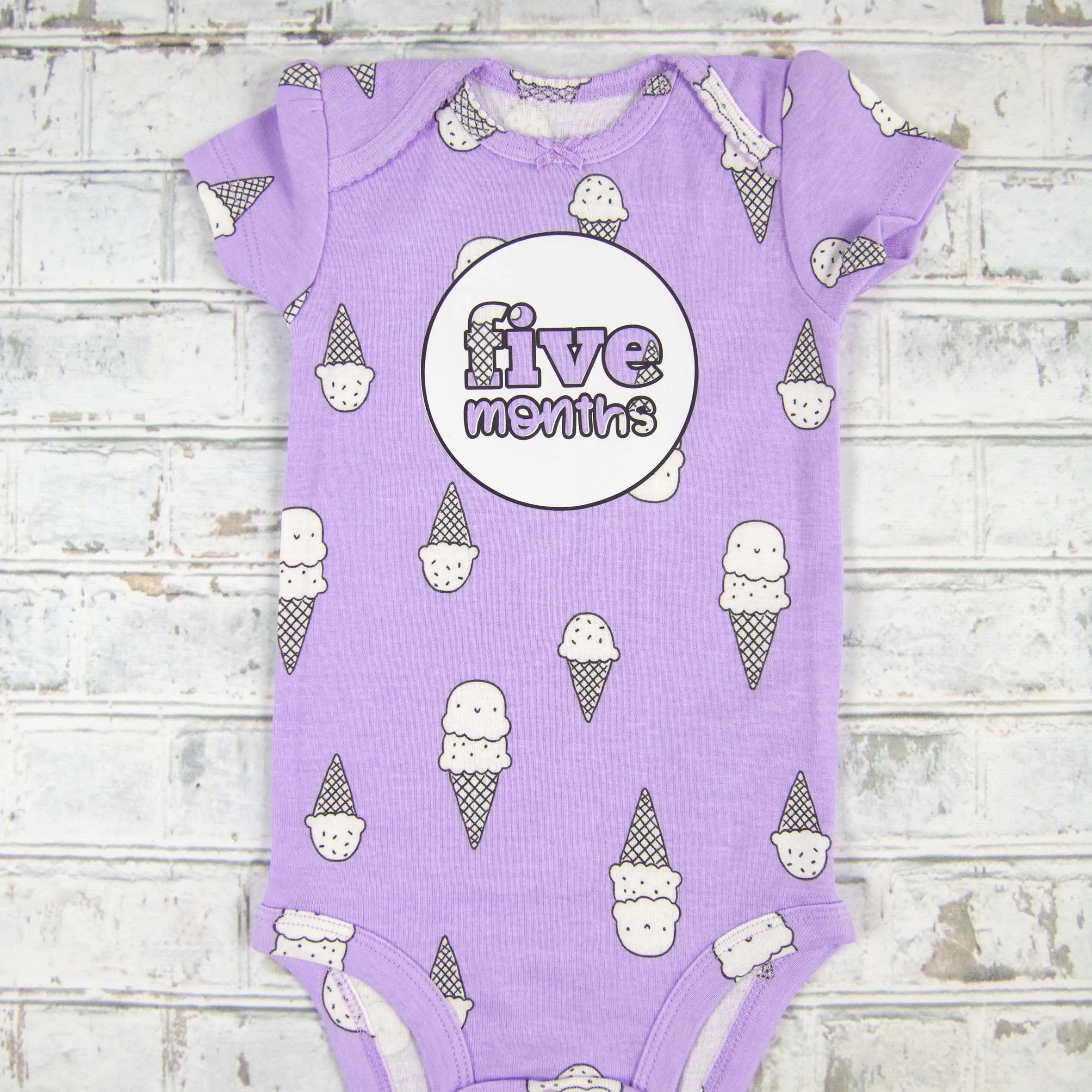 Baby Girl Monthly Photo Bodysuit Set – Bunnies, Dogs & Ice Cream