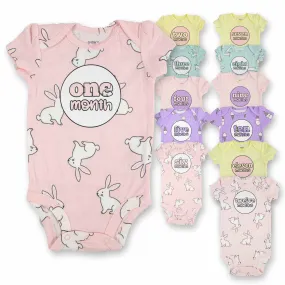 Baby Girl Monthly Photo Bodysuit Set – Bunnies, Dogs & Ice Cream