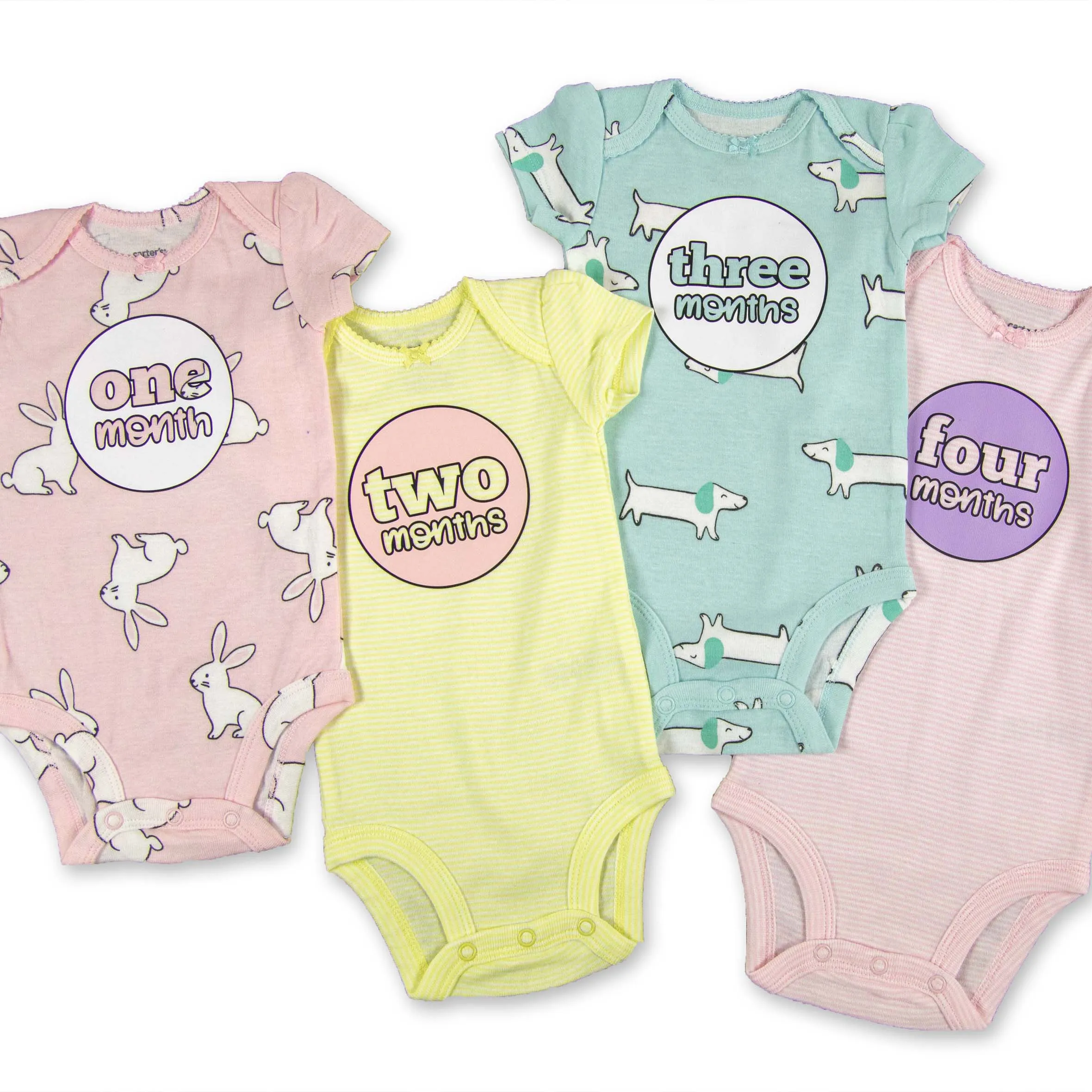 Baby Girl Monthly Photo Bodysuit Set – Bunnies, Dogs & Ice Cream