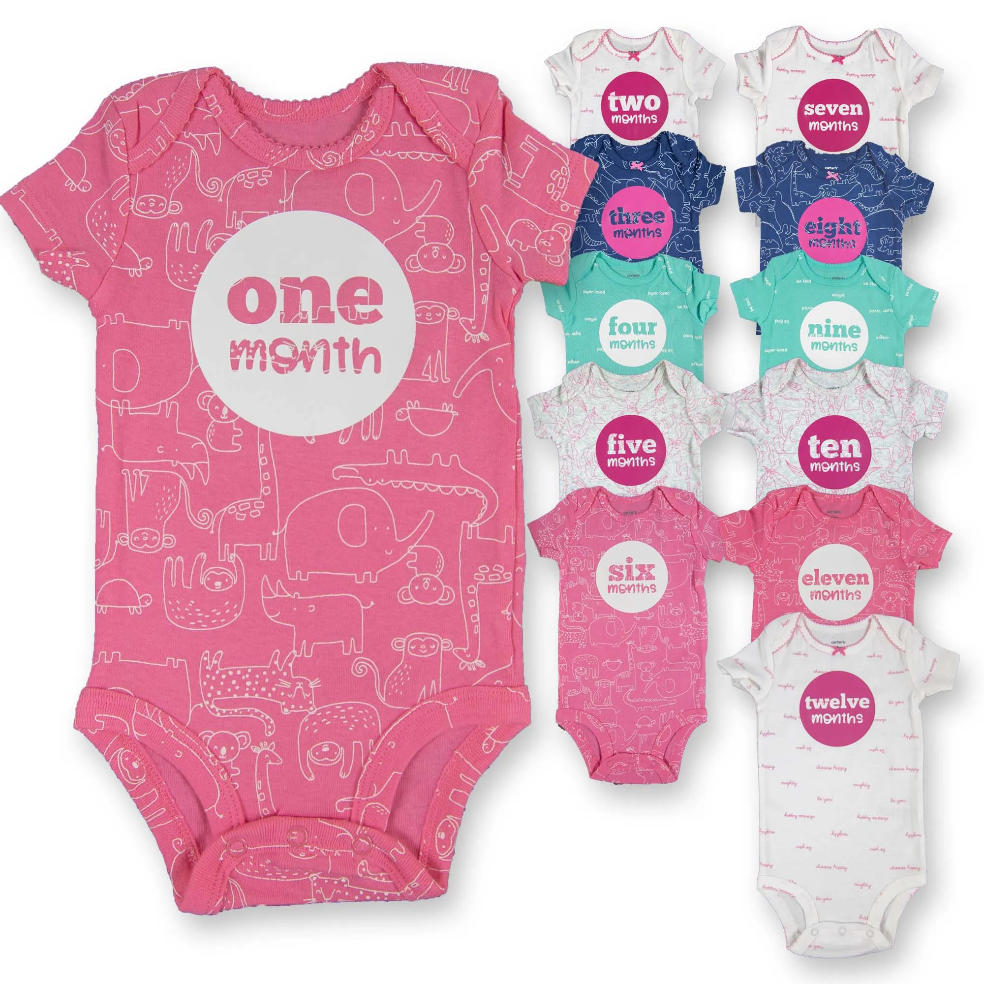 Baby Girl Monthly Photo Bodysuit Set – Unicorns, Dinosaurs & Jungle Animals