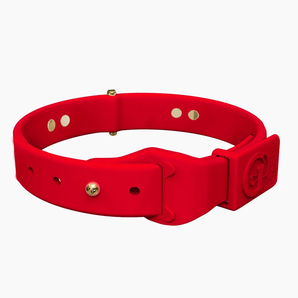 Boneflex  Signature Spike Gold Collar