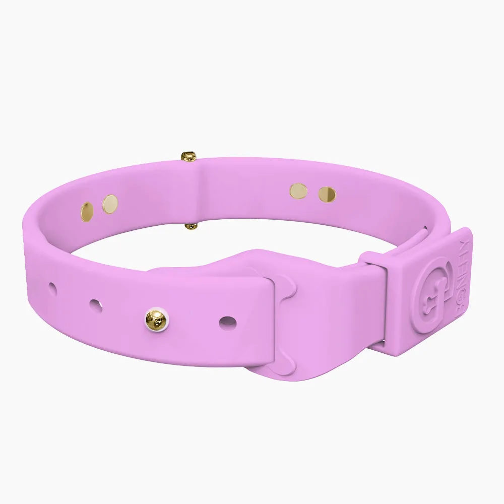 Boneflex  Ultra Lavender Collar