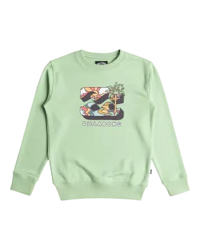 Boys Foundation Sweatshirt in Matcha