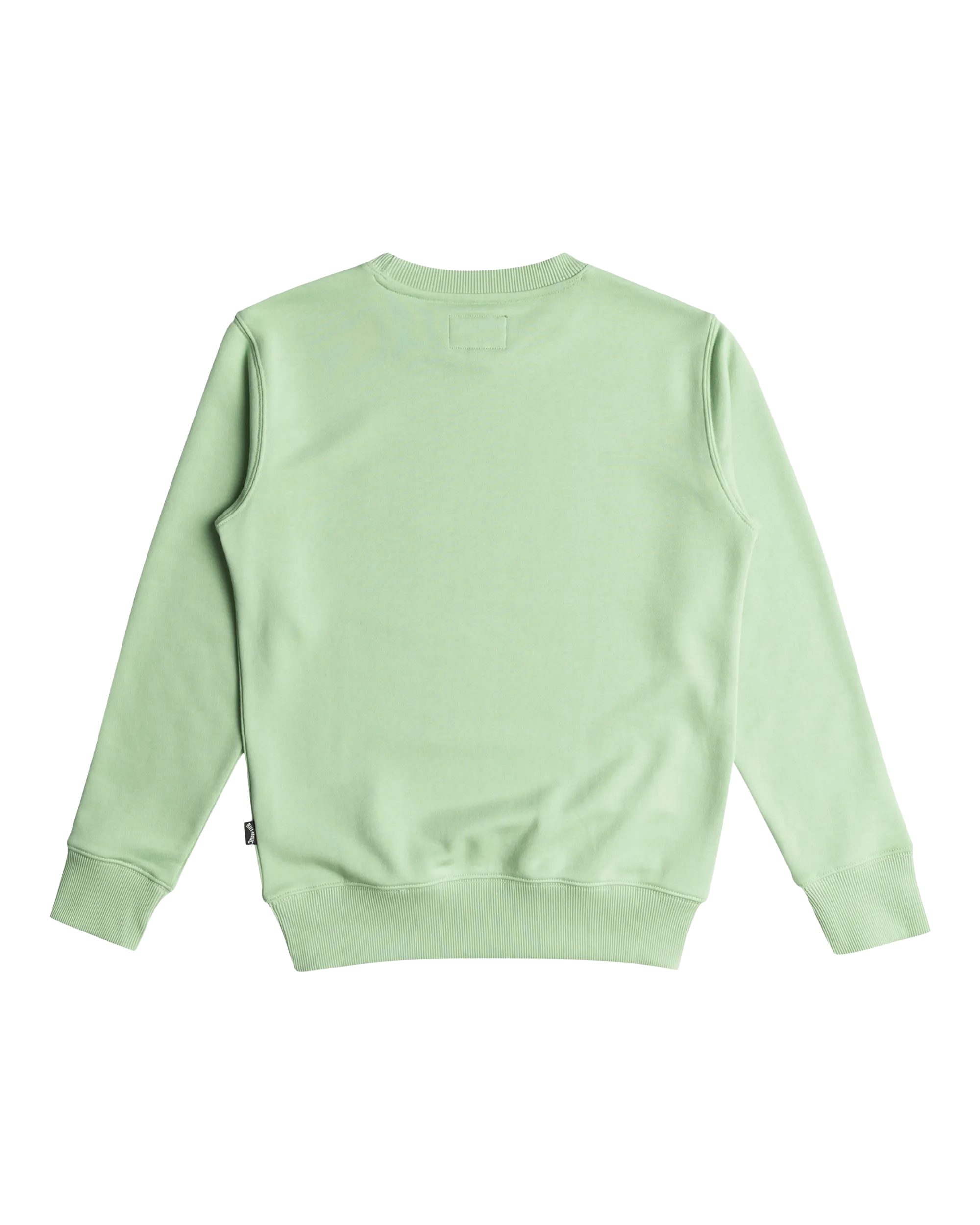 Boys Foundation Sweatshirt in Matcha