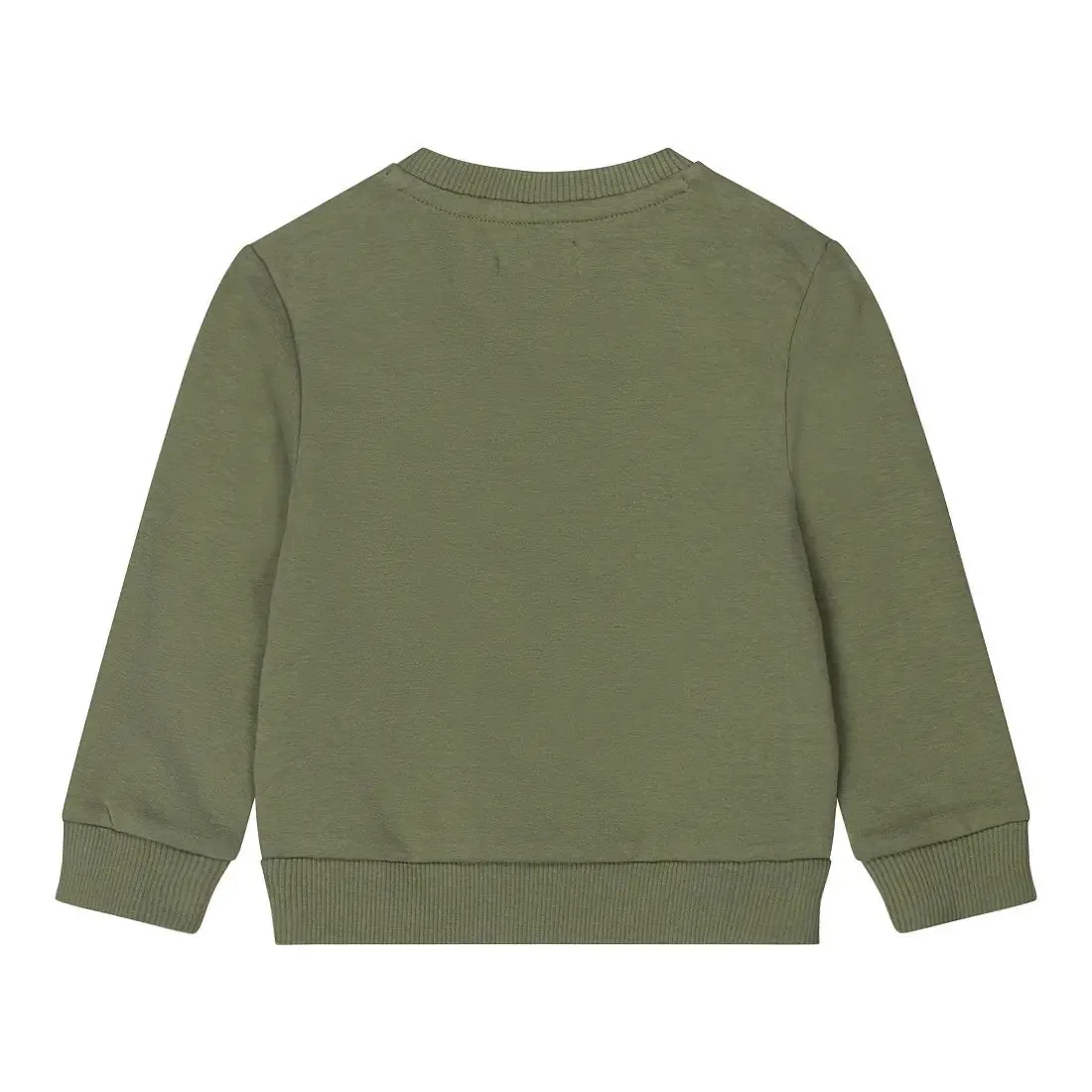 Boys Sweatshirt Soft Green Panda | Dirkje