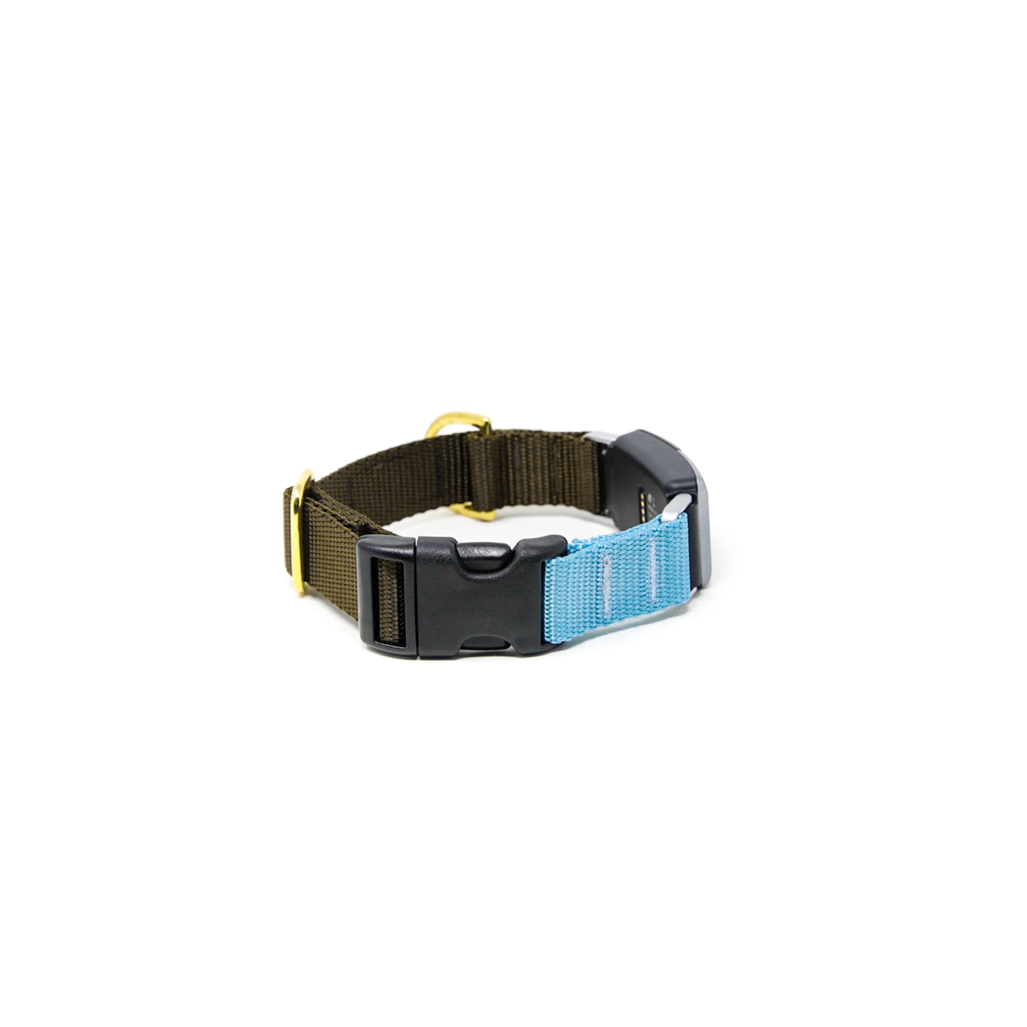 Fi Collar Band - Mix & Match