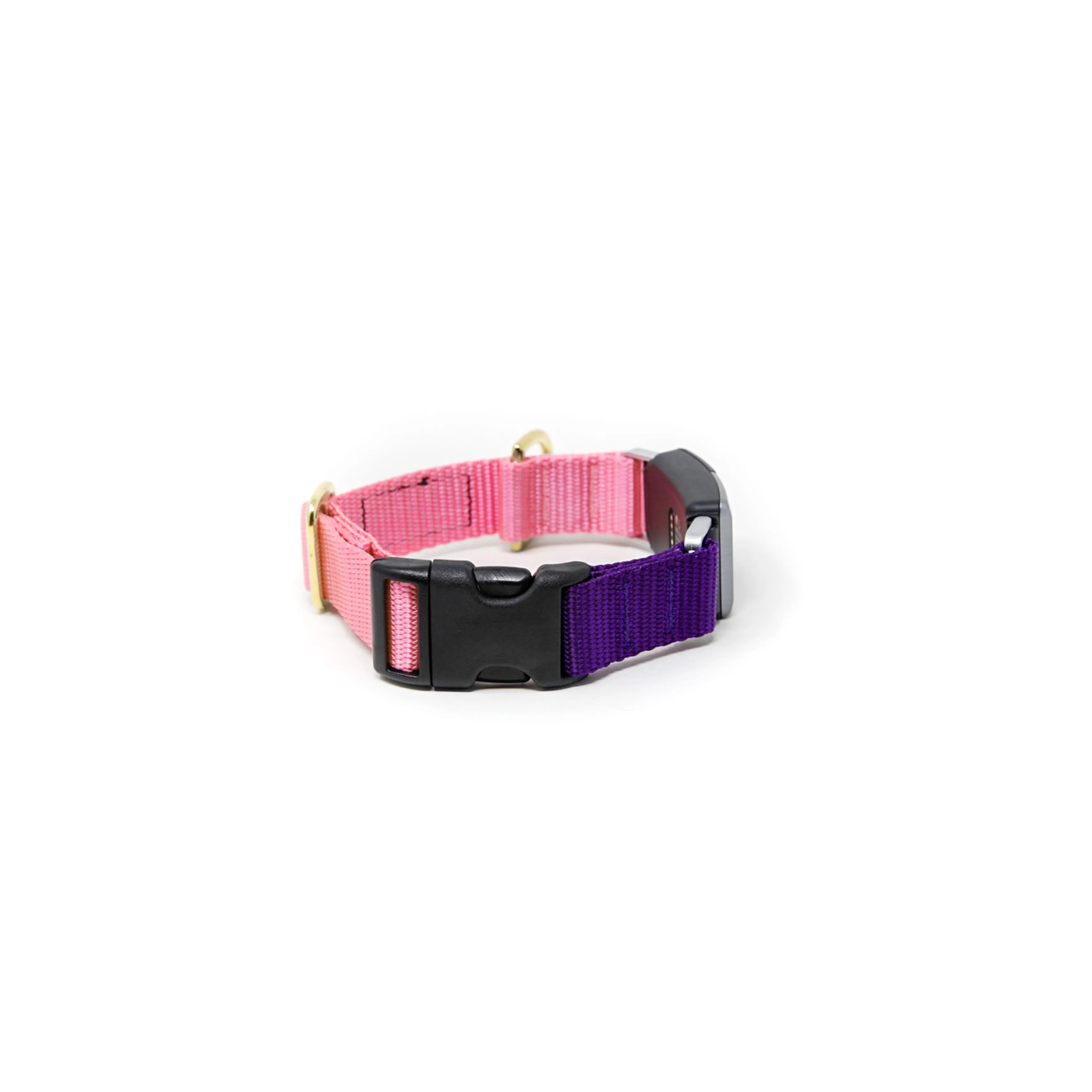 Fi Collar Band - Mix & Match