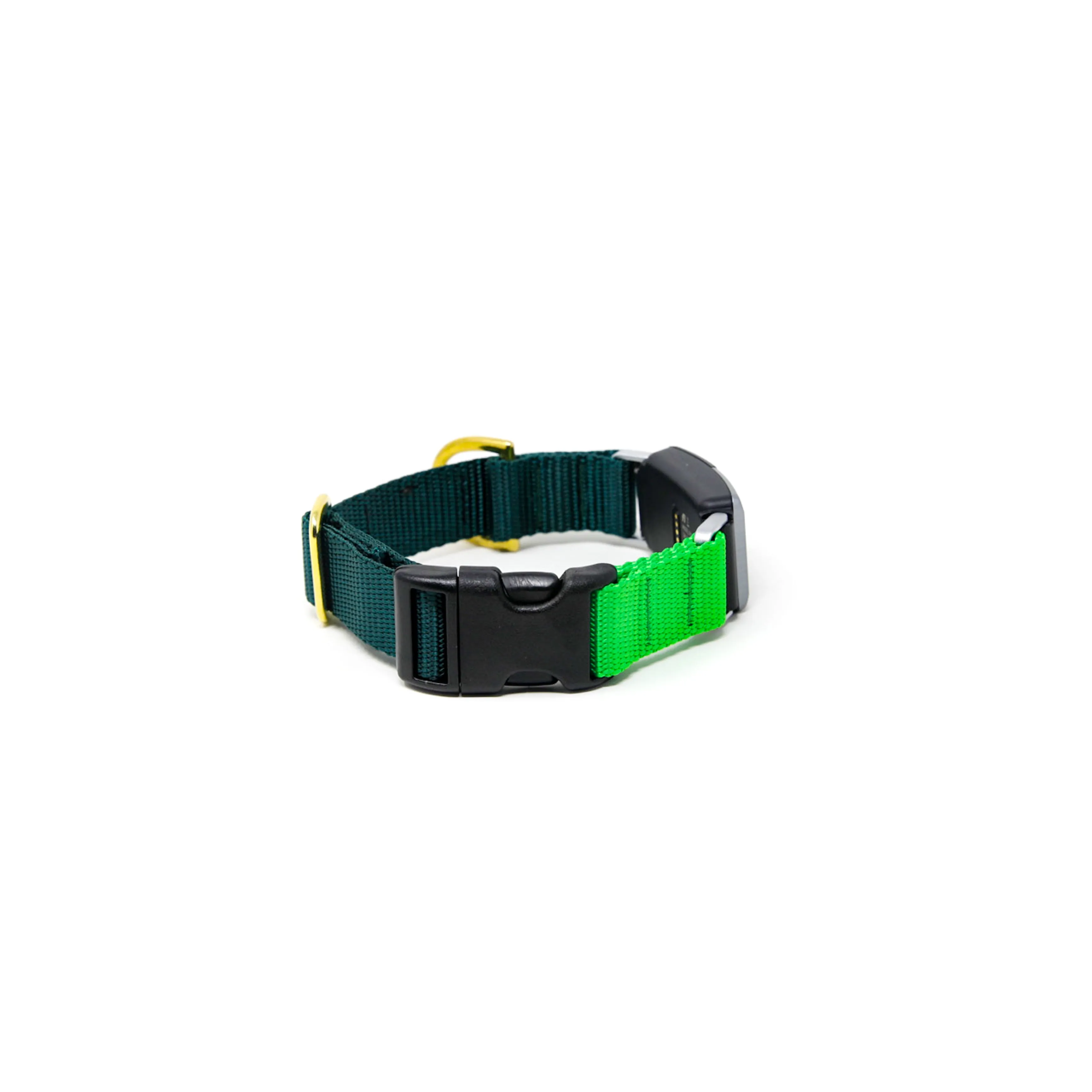 Fi Collar Band - Mix & Match