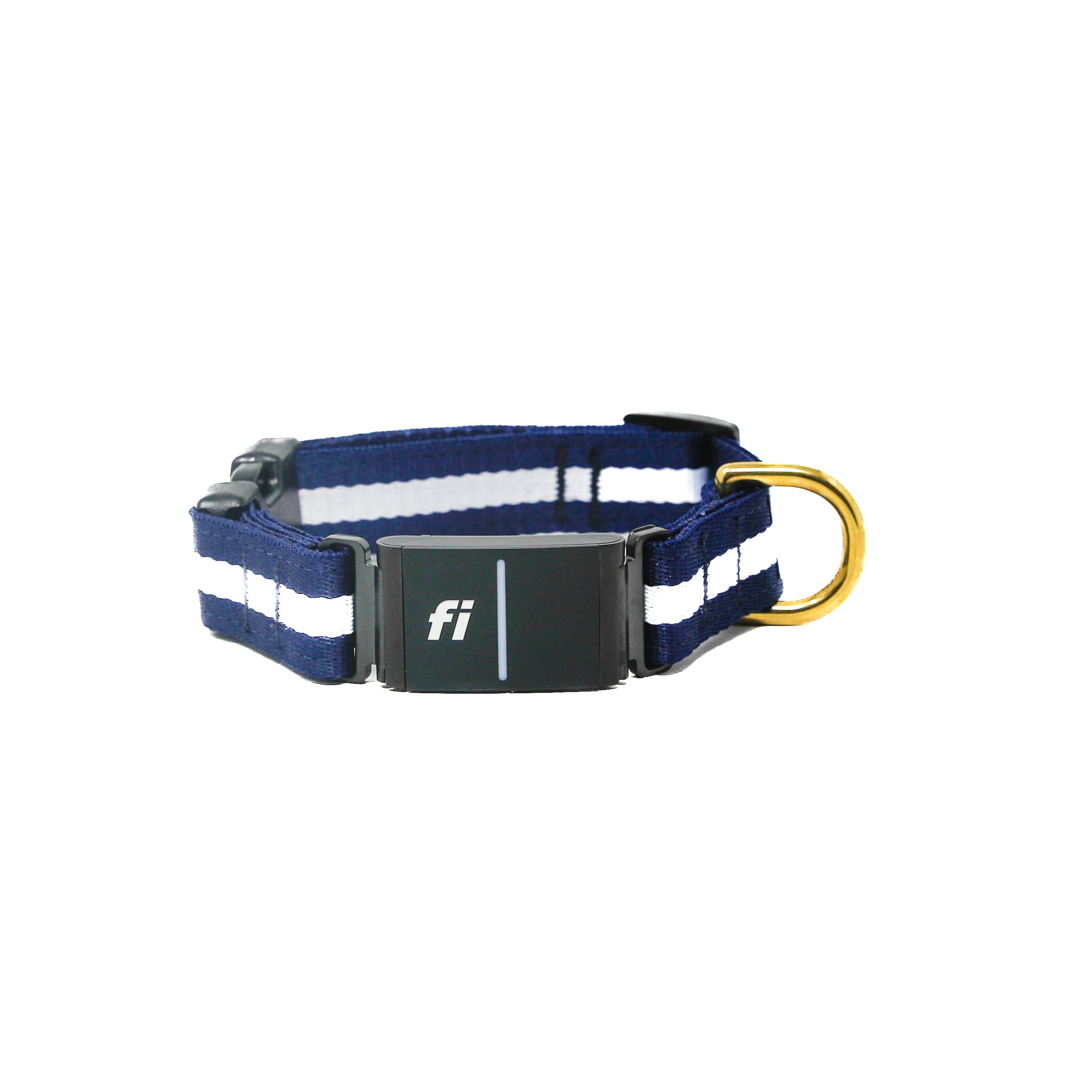 Fi Collar Band - Sapphire