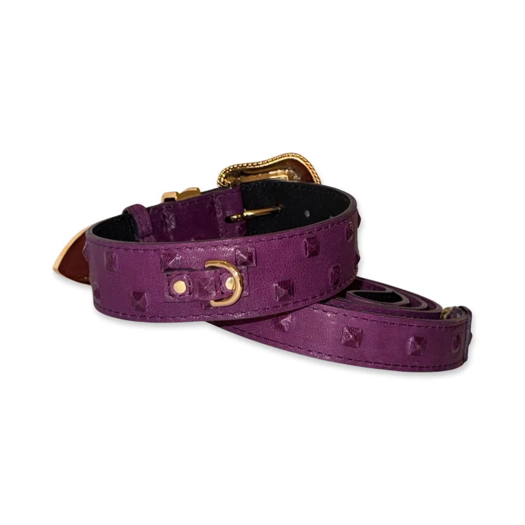 Glamorous Boysenberry, Embossed Studded Italian Leather, Swarovski Crystal Collar & Leash Set