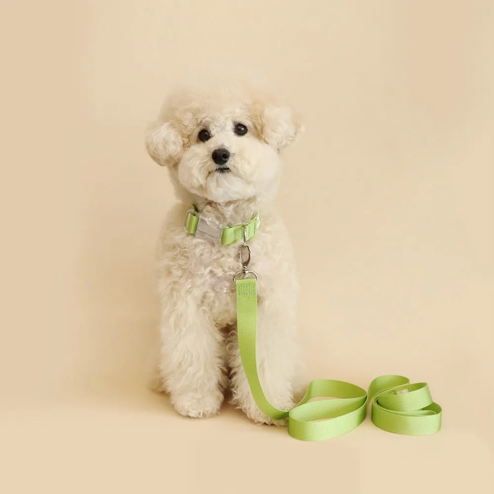 Makit Green Light Collar & Leash Set