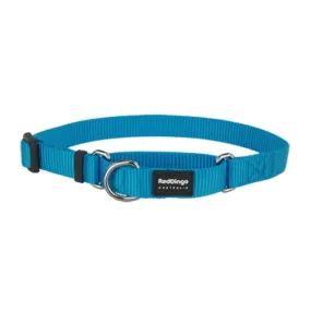 Red Dingo Martingale Half Check Turquoise Dog Collar (4 Sizes)