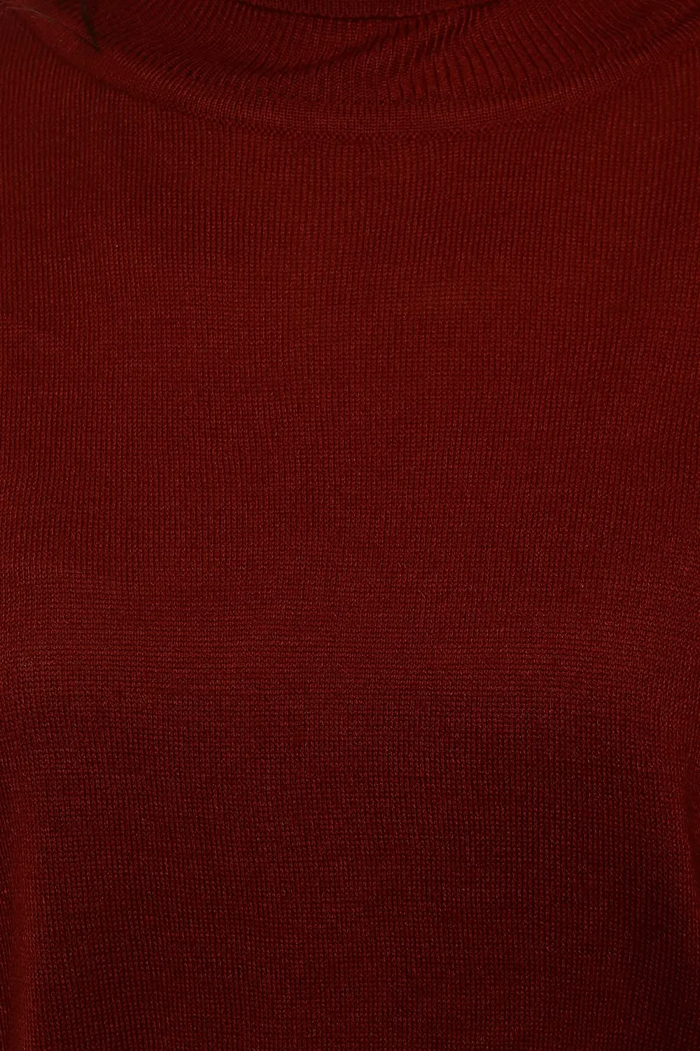 Van Heusen Women's Acrylic Turtle Neck Sweater (VWSWFRGF394326_Maroon_XL)