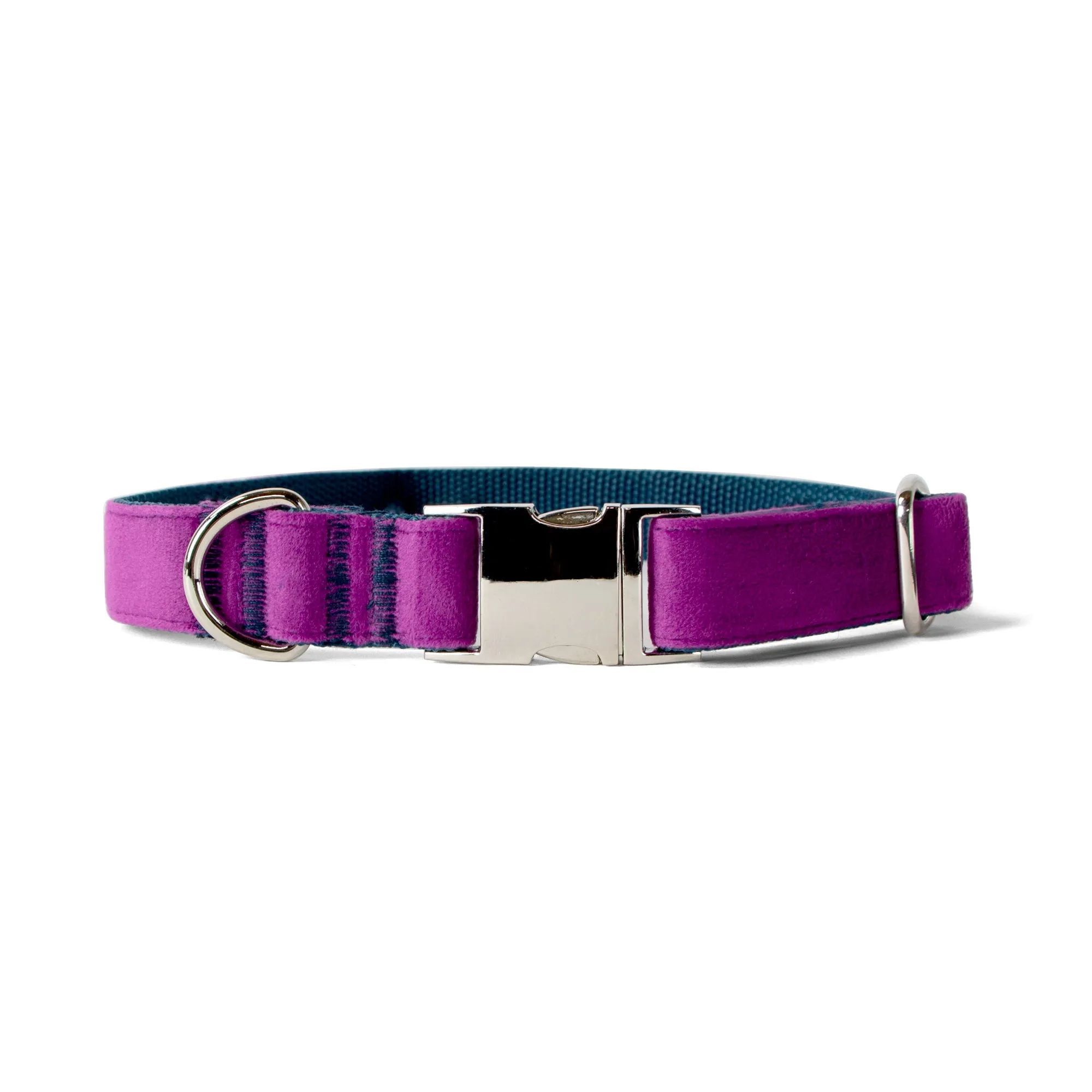 Velvet Dog Collar with Chrome Silver Metal Buckle, Plum Purple